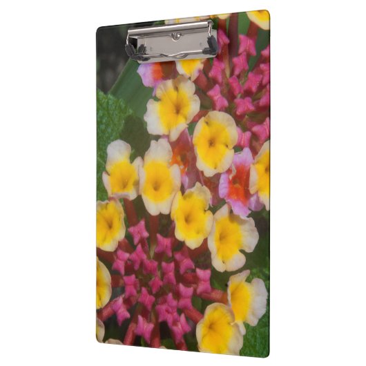 Kleine gele tropische bloemen met roze knoppen klembord (Links)