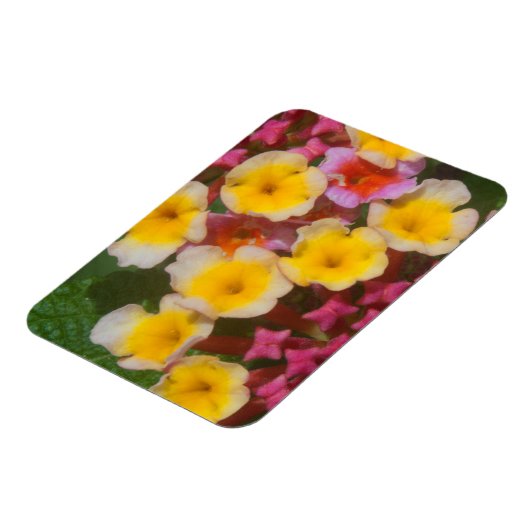 Kleine gele tropische bloemen met roze knoppen magneet (Linkerzijde)