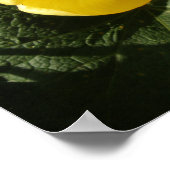 Kleine Gele Tulp Print (Hoek)
