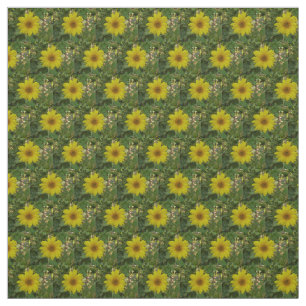 kleine gele zonnebloemen in tuin stof