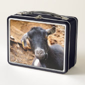 KLEINE GOAT (Voorkant)