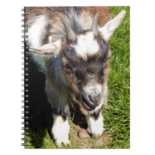 KLEINE GOAT NOTITIEBOEK (Voorkant)