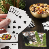 KLEINE GOAT POKERKAARTEN (Insitu)
