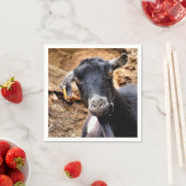 KLEINE GOAT SERVETTEN (Insitu)