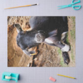 KLEINE GOAT TISSUEPAPIER (Craft)