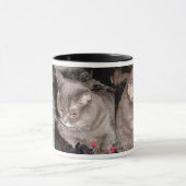 KLEINE GRAY CAT MOK (Midden)