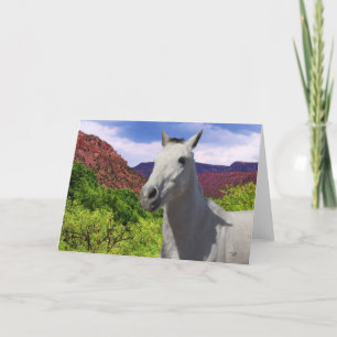 kleine grijze Pony met grote ogen - leeg Kaart