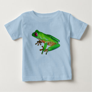 Kleine groene boomkikker