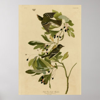 Kleine groene brochure poster