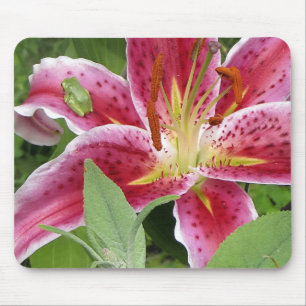 Kleine groene kikker op Stargazer Lily Muismat