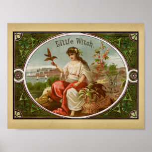Kleine heks signaaldoos poster