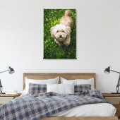 Kleine hond die opkijkt met camera canvas afdruk (Insitu (Slaapkamer))