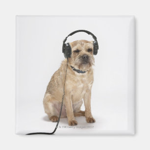 Kleine hond met hoofdtelefoon magneet