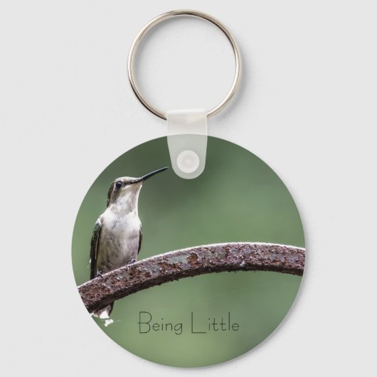 Kleine Hummingbird Button Sleutelhanger (Voorkant)