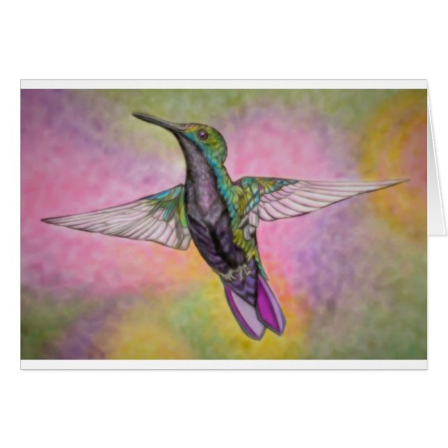 Kleine Hummingvogel (Voorkant Horizontaal)