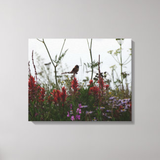 kleine Hummingvogel Canvas Afdruk