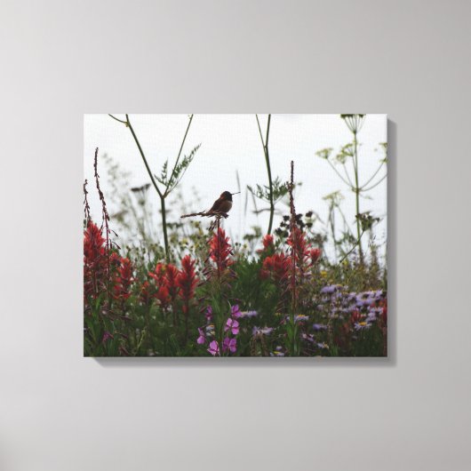 kleine Hummingvogel Canvas Afdruk (Voorkant)