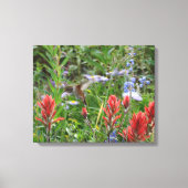 kleine Hummingvogel Canvas Afdruk (Voorkant)
