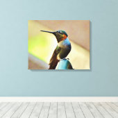 kleine Hummingvogel Canvas Afdruk (Insitu (Houten vloer))