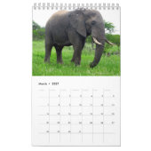 Kleine kalender 2026 met wilde dieren (Mar 2027)