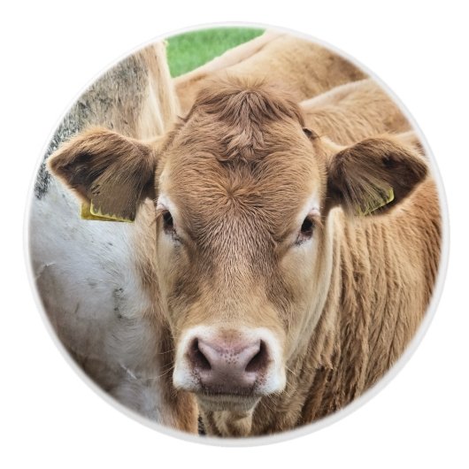 KLEINE KALF KERAMISCHE KNOP (Voorkant)