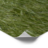 Kleine kalf poster (Hoek)