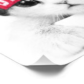 Kleine kat foto afdruk (Hoek)