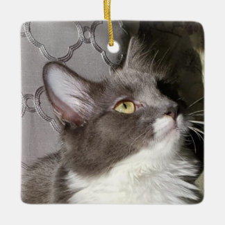 Kleine Kat Keramisch Ornament