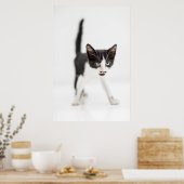 Kleine kat poster (Keuken)