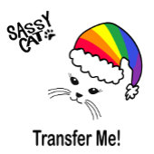 kleine kat regenboog kerstman mok