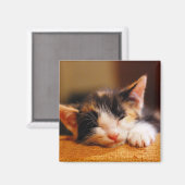 Kleine Kat slaapstand Magneet (Voorkant / Achterkant)