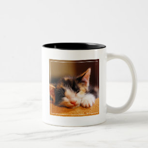 Kleine Kat slaapstand Tweekleurige Koffiemok