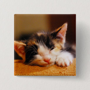 Kleine Kat slaapstand Vierkante Button 5,1 Cm