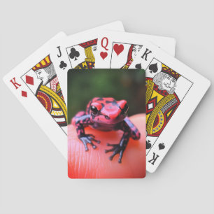 Kleine kikker pokerkaarten
