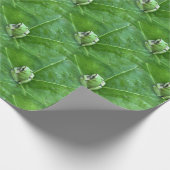 Kleine kikkers.... cadeaupapier (Hoek)