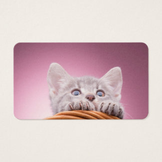 Kleine kitten visitekaartjes