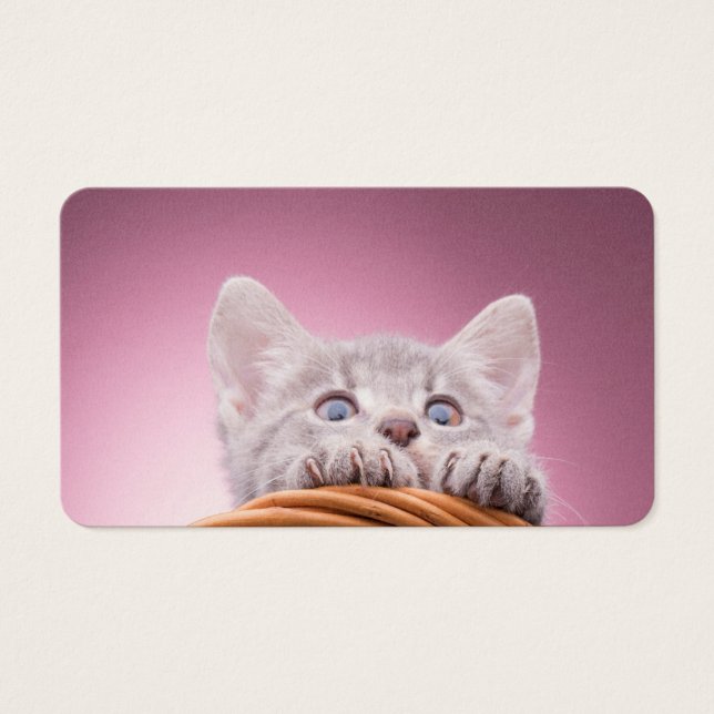 Kleine kitten visitekaartjes (Voorkant)