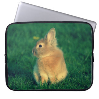 Kleine konijn laptop sleeve