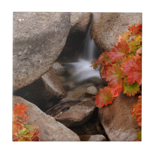 Kleine kreek in de herfst, Californië Tegeltje