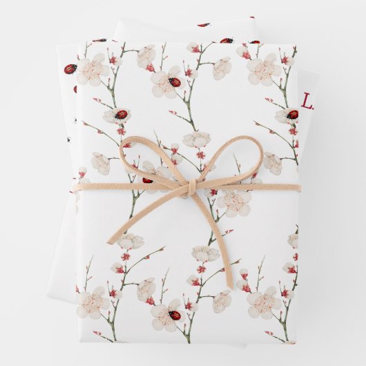 Kleine lieveheersbeestje patroon Boho Inpakpapier Vel (In situ)