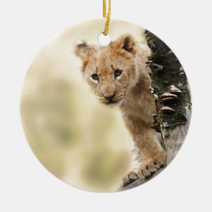 KLEINE LION CUB RANGE KERAMISCH ORNAMENT