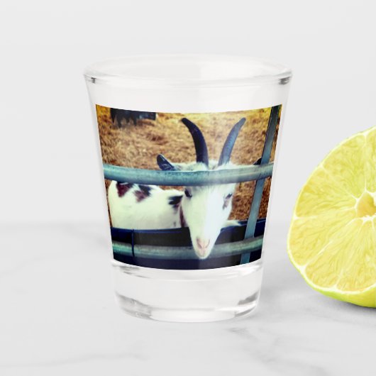 Kleine mannetjes shot glas (Voorkant)