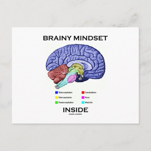 Kleine mindset binnenin (anatomisch brein) briefkaart (Voorkant)