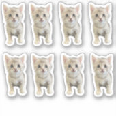 Kleine Miss Winter - Kat / Kitten Sticker (Voorkant)