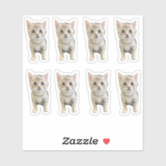 Kleine Miss Winter - Kat / Kitten Sticker (Vel)