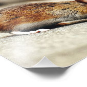 Kleine muis foto afdruk (Hoek)