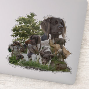 Kleine Munsterlander Sticker