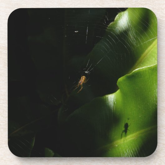 Kleine Onderzetters (Voorkant)