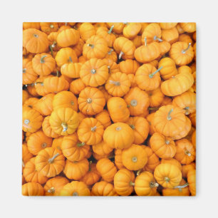 Kleine Oranje Herfst Harvest Pumpkins Magneet