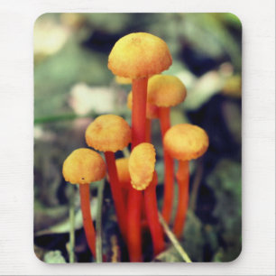 Kleine Oranje paddenstoelen Natuur Muismat